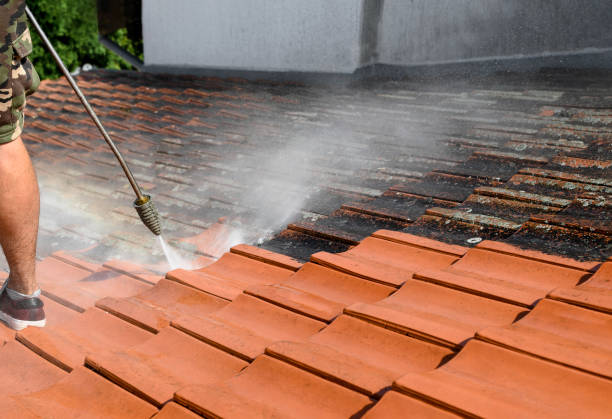 Best Sidewalk Pressure Washing  in Cleveland, FL